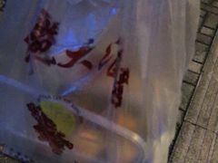 -天福苑(崇宁路店)