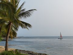 -日落吧·海景咖啡厅·餐酒吧·鸡尾酒·下午茶·乐队表演·浪漫夕阳·三亚文华东方酒店