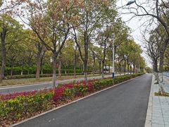-美兰湖景区