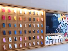 -Apple零售店(玄武湖店)