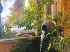 -园林美食城·本土农家菜(杨和镇店)