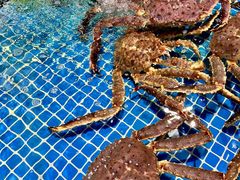 -三亚火车头万人海鲜广场