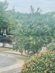 -太湖雪蚕桑文化园