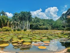 -中国科学院西双版纳热带植物园