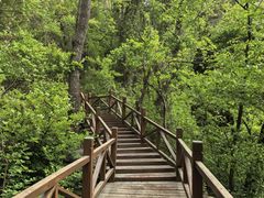 -大岭沟猕猴桃谷风景区