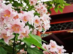 -北京动物园