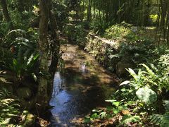 -深圳仙湖植物园