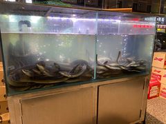 水产区-本炙炭烤·蒲烧活鳗料理店(金沙洲店)