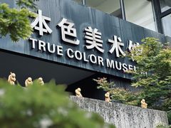 -苏州本色美术馆