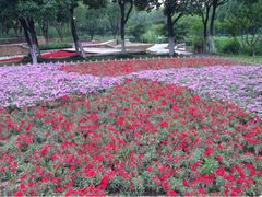 -昆山城市生态森林公园