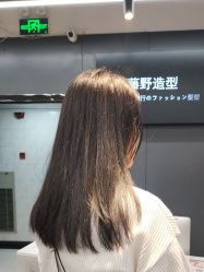 -藤野造型