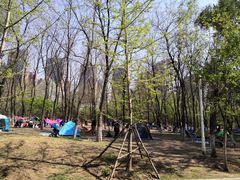 -长白岛森林公园