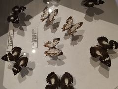 -青藏高原自然博物馆