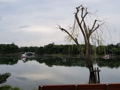 -福冈国际邮轮码头