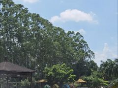 -揭东万竹园旅游景区