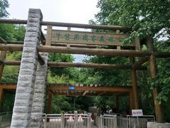 -牛背梁国家森林公园