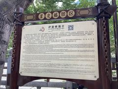 -泸定桥景区
