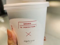 -代数学家algebraist(诚品店)