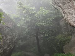 -崂山巨峰游览区
