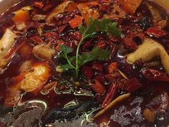 金牌毛血旺-茅庐毛血旺(烟台大悦城店)
