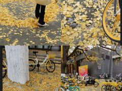 -四川大学(华西校区)