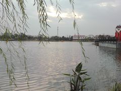 -上海长兴岛郊野公园