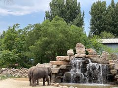 -北京野生动物园
