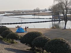 -合肥滨湖国家森林公园