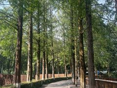 -桃园农庄·桃源宴