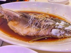 -云境生态园(高新旗舰店)