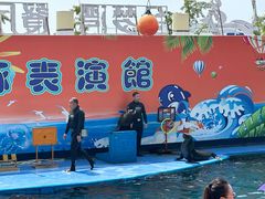 -秦皇岛新澳海底世界