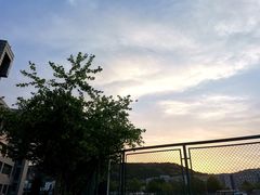 -青岛大学(金家岭校区)