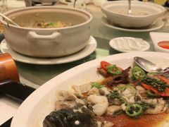 -绿岛国际酒店·海鲜酒楼(八七路店)