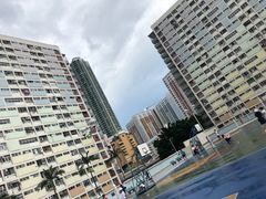 -彩虹村