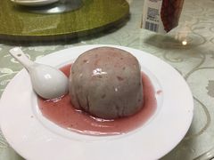 -丁老爷子苏香圆