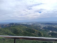 -老庞家水馅包子馆