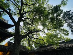 -西园戒幢律寺