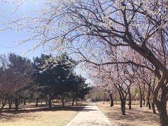 -长春公园(普阳街道)