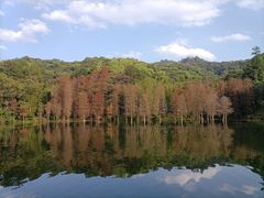 -广州市白云山风景名胜区