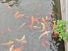 -梅园