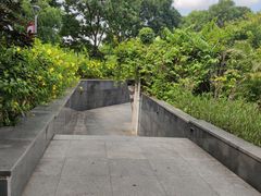 -东莞植物园