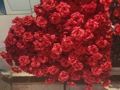 -洛阳宴·洛阳菜(南昌路店)