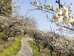 -白马涧龙池景区