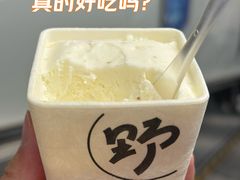 -野人先生Gelato(上海长宁龙之梦店)