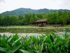 -八卦田遗址公园