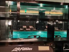 -丽思卡尔顿酒店泳池(金融街店)