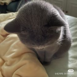 -影博莎美容美发形象设计中心