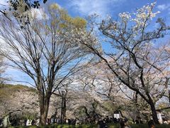 -维乐口腔医院(福清院)