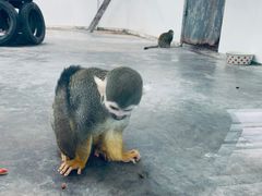 -西安秦岭野生动物园