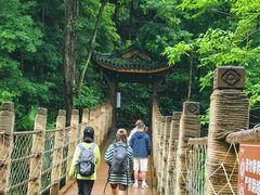 -凤栖山